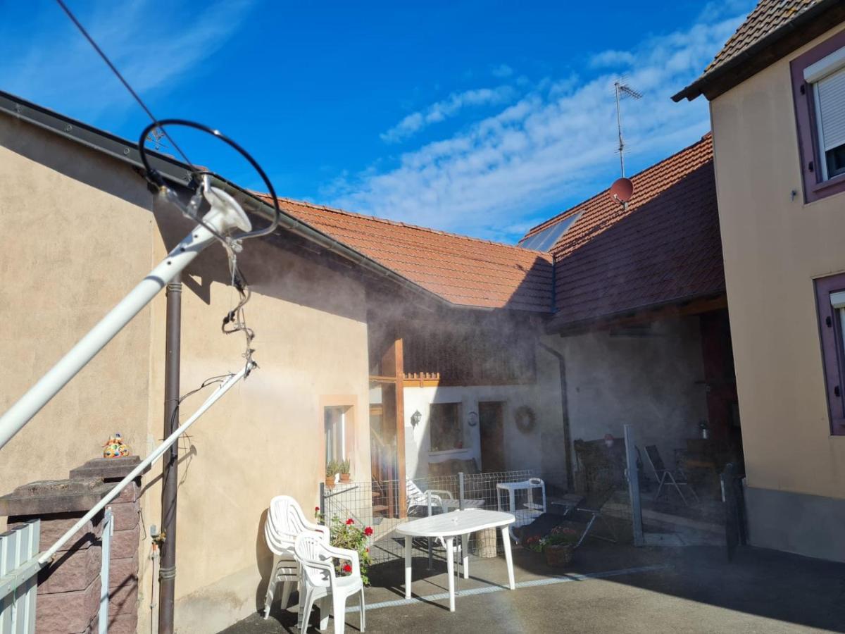 SaasenheimLes Chouchous Du Ried 1公寓 外观 照片
