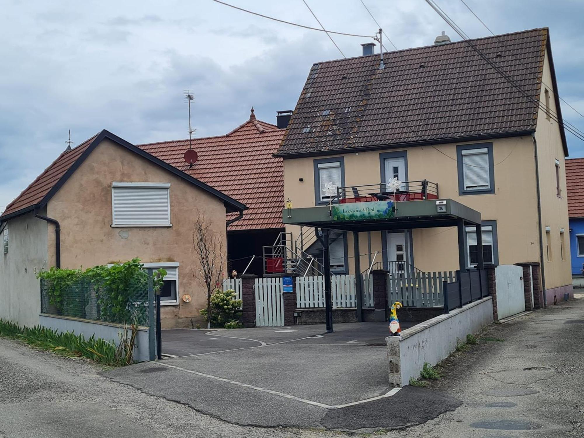 SaasenheimLes Chouchous Du Ried 1公寓 外观 照片